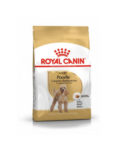 poodle royal canin puppy